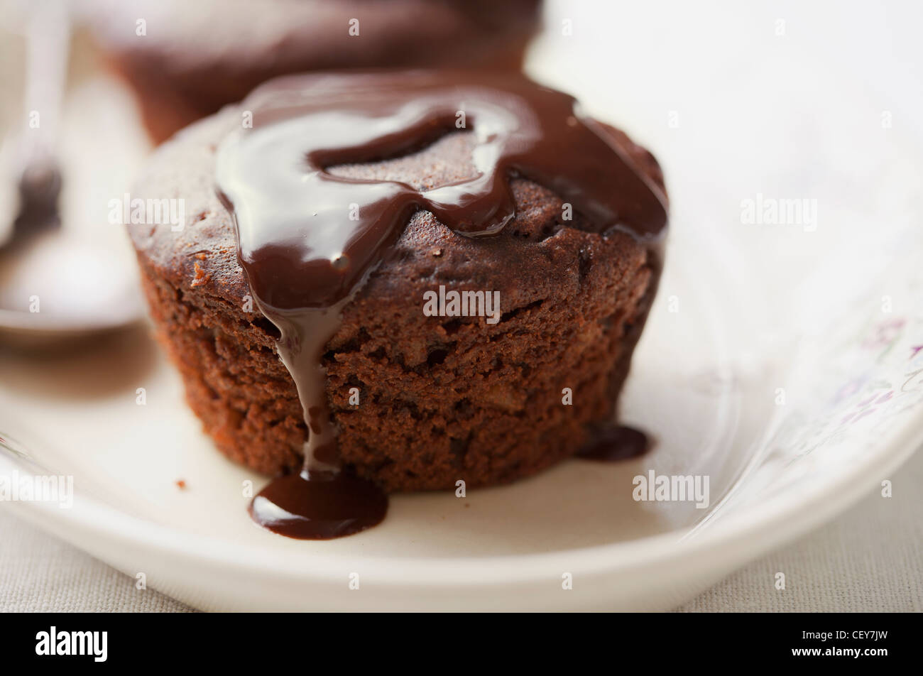 Brownie mit Schokoladensauce Stockfoto