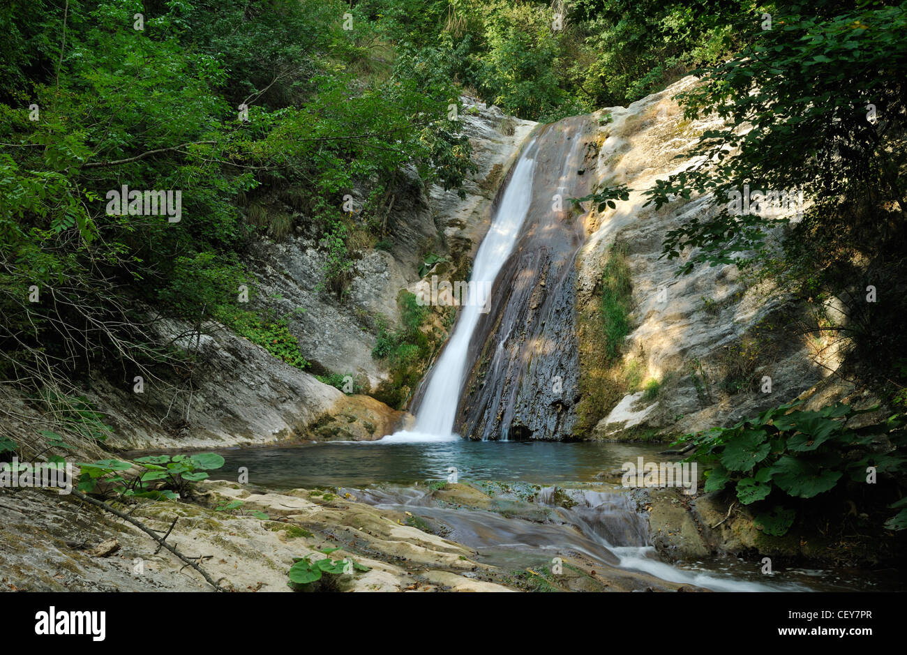 Wasserfall am kleinen Bach im grünen Sommer Wald Stockfoto