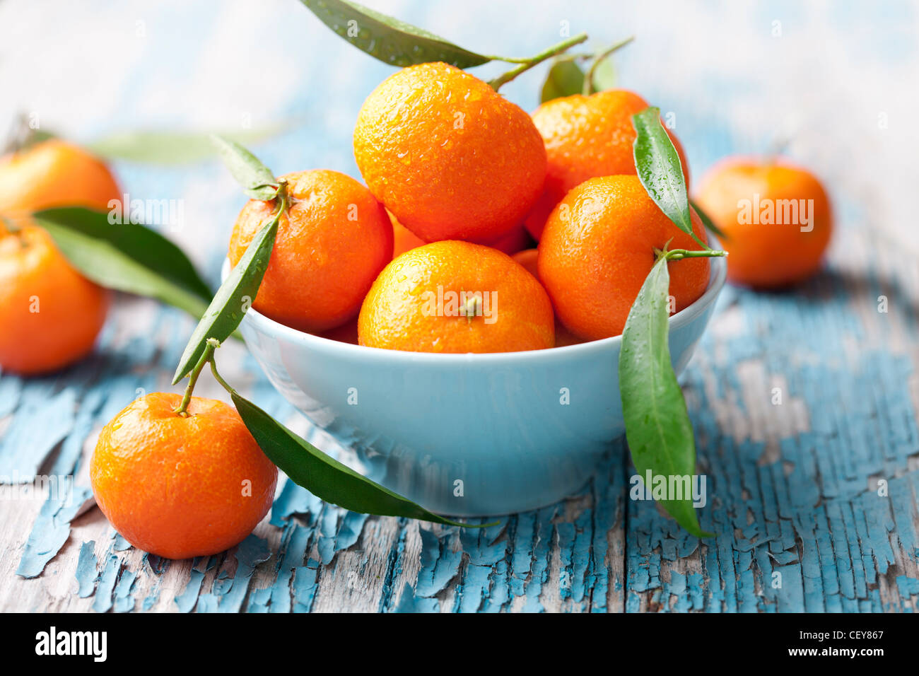 frische Mandarinen, Orangen Stockfoto