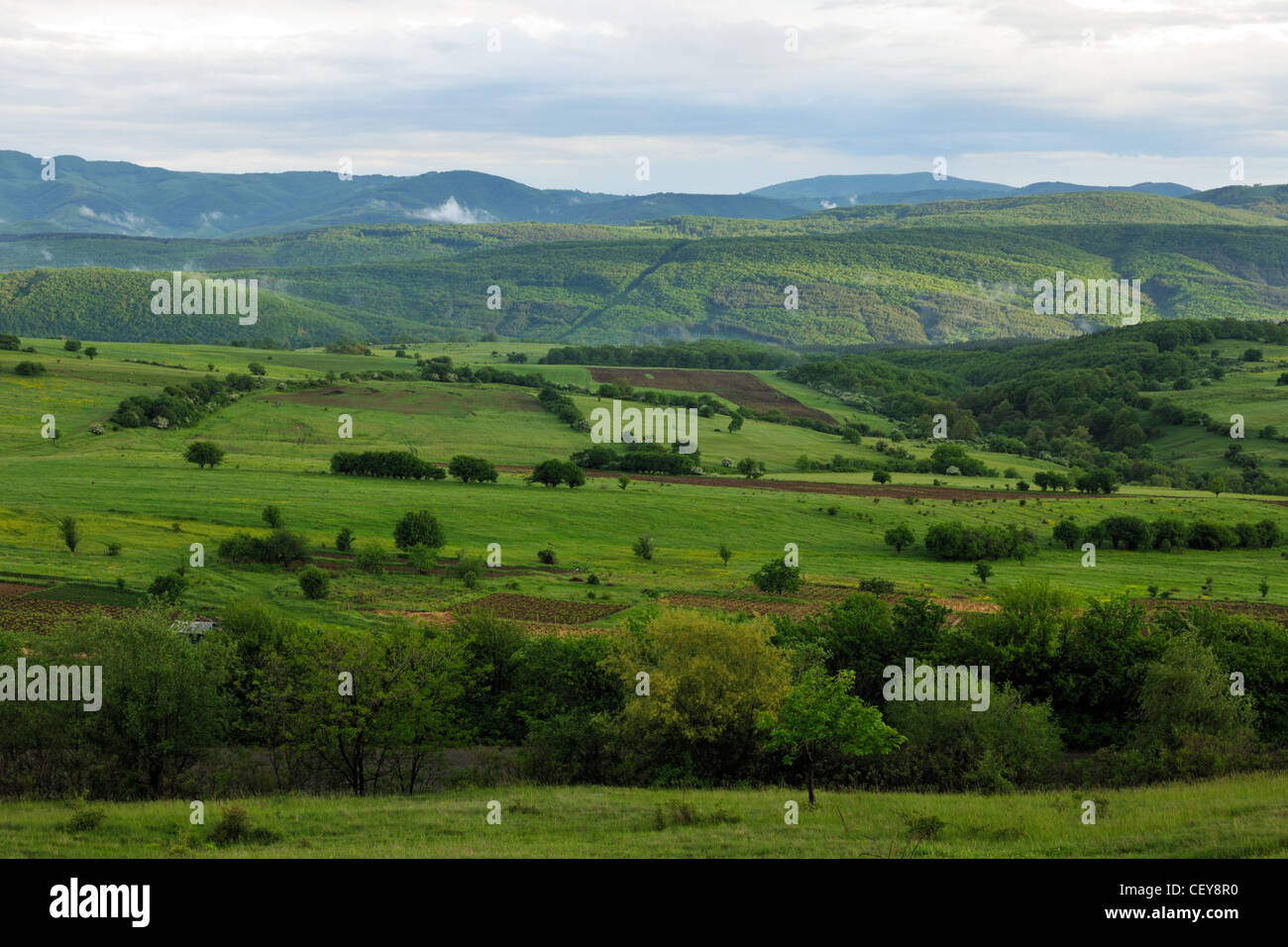 Frühlingslandschaft von Stara Planina Berg, Bulgarien Stockfoto
