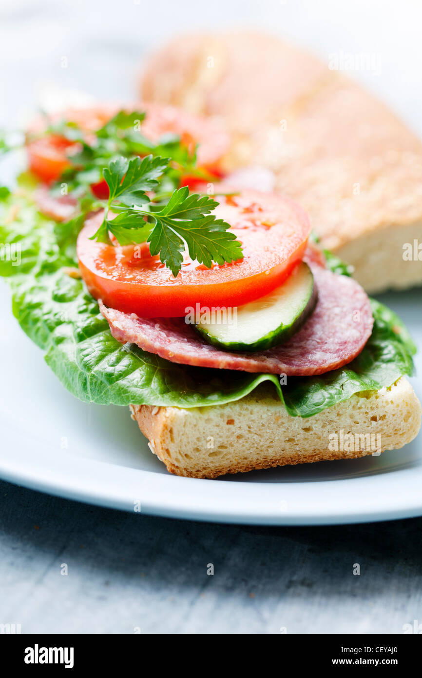 Sandwich mit Salat, Salami, Tomaten, Gurken und Petersilie Stockfoto