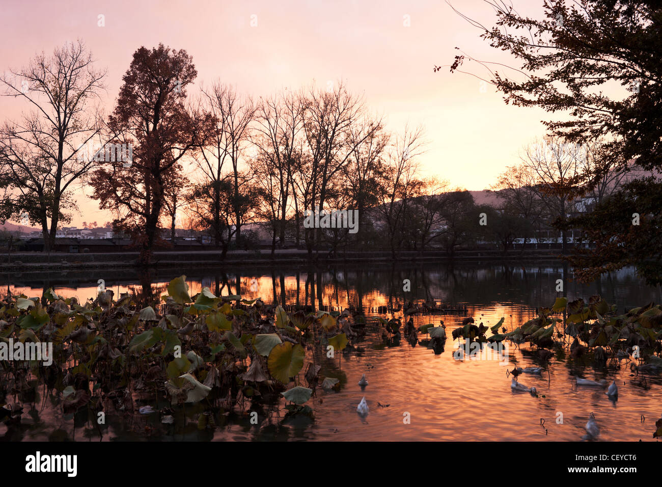 China, Tourismus, altmodische, See, Mann gemacht Struktur, Schutz, Day, The Villages, Wasser, Farbbild, Reiseziele, im Freien, Stockfoto