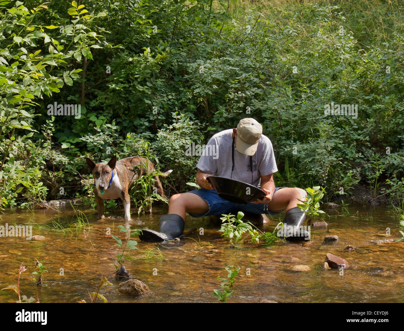 Ein Mann sitzt in einem Stream Goldwaschen mit seinem Hund an seiner Seite. Stockfoto