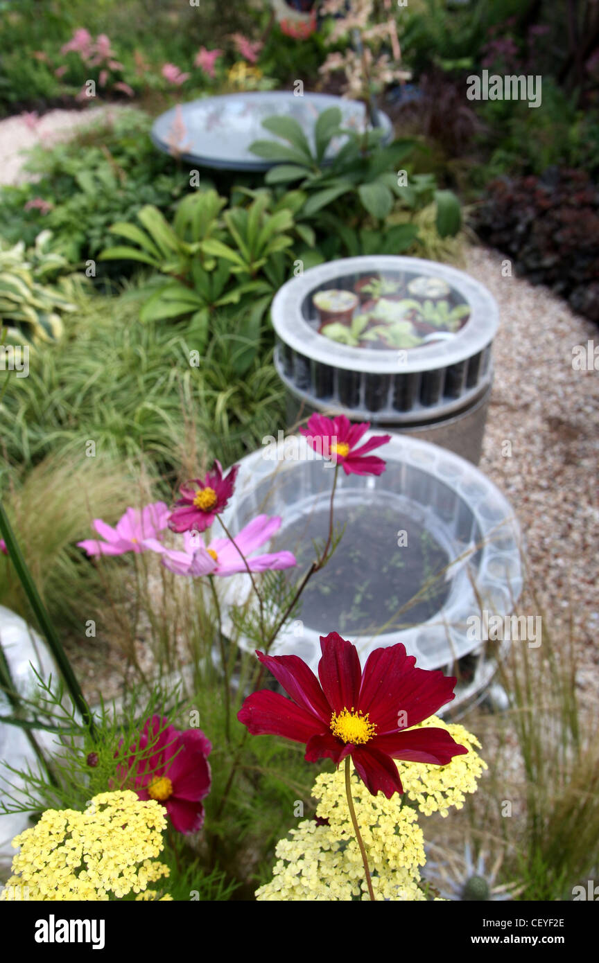 Detailbild des roten, gelben und rosa Blüten im London Wildlife Trust Future Garden im Hampton Court Palace Flower show, Stockfoto