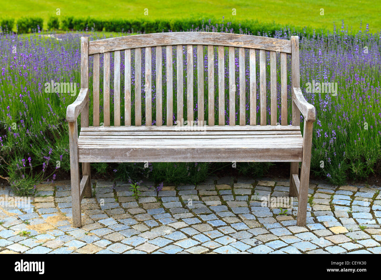 Holzbank im schönen Lavendelgarten Stockfoto