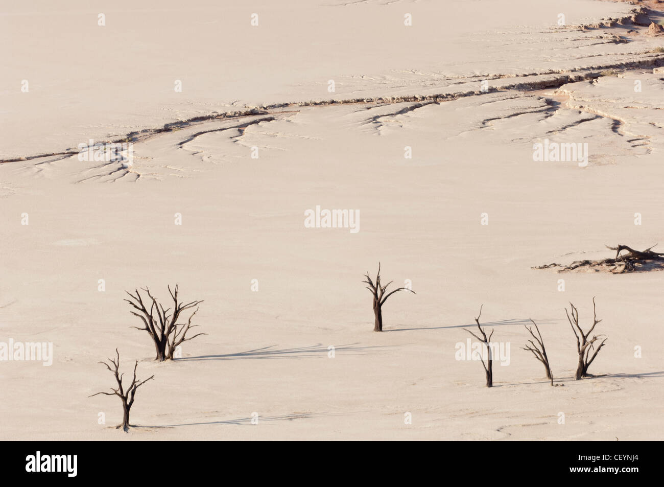 Luftaufnahme von Deadvlei, weißen Ton-Pfanne in der Nähe von Sossusvlei, Namib-Naukluft-Park. Namibia. Stockfoto