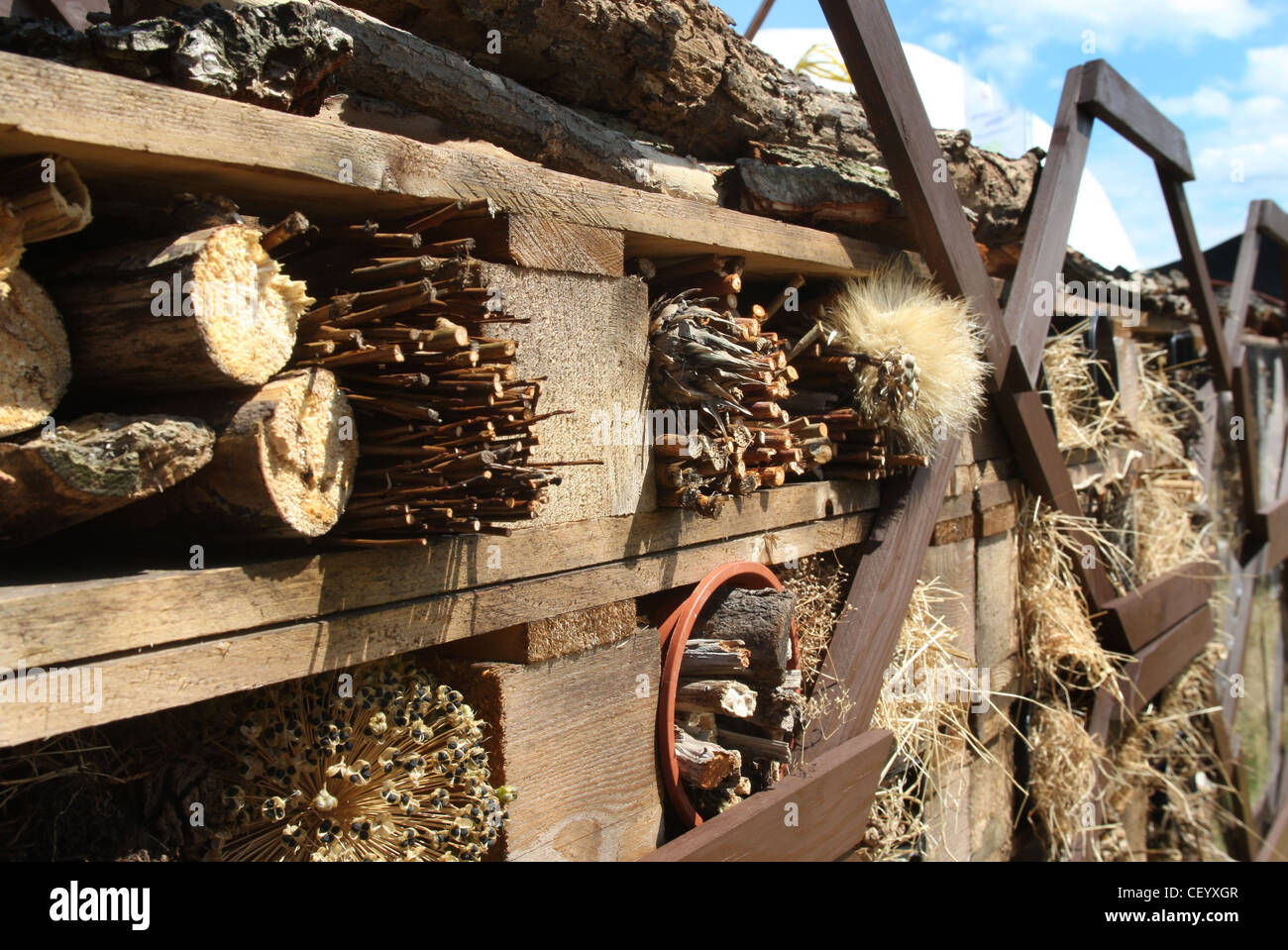 Detailbild der Lebensraum zu fetten Tierwelt im London Wildlife Trust Future Garden im Hampton Court Palace Flower Wand Stockfoto