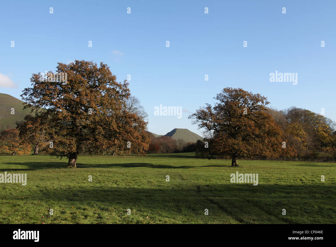 Ilam Park im Peak District mit der flachen Oberseite des Thorpe Cloud in der Ferne. Stockfoto