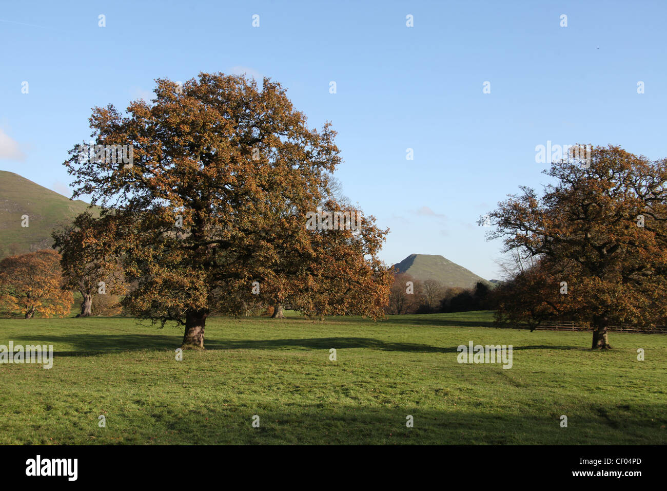 Ilam Park im Peak District mit der flachen Oberseite des Thorpe Cloud in der Ferne. Stockfoto