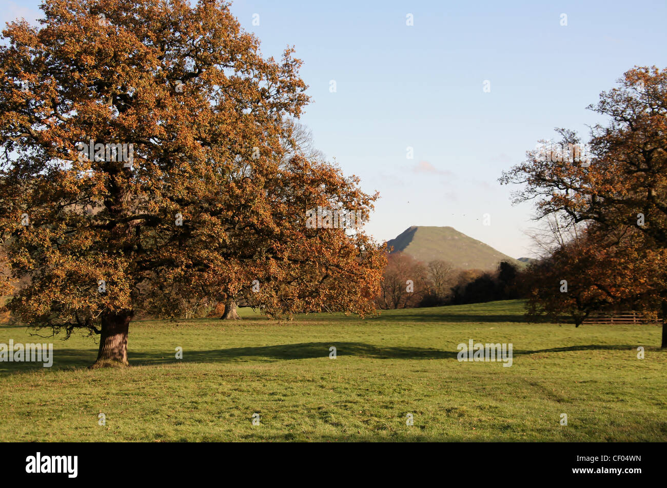 Ilam Park im Peak District mit der flachen Oberseite des Thorpe Cloud in der Ferne. Stockfoto