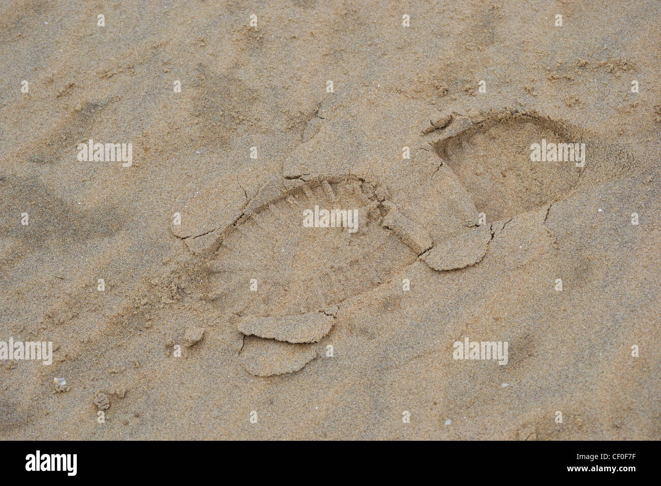Abstrakte Muster in den Sand und Strandhafer auf den Dünen Camber Sands in East Sussex Stockfoto