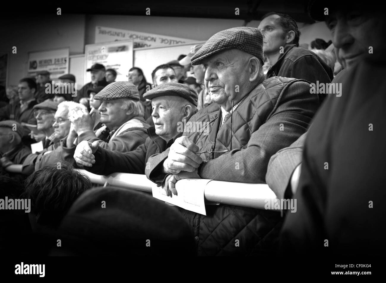 Landwirte in Ruthin Auktion Mart, Ruthin, Nordwales Stockfoto