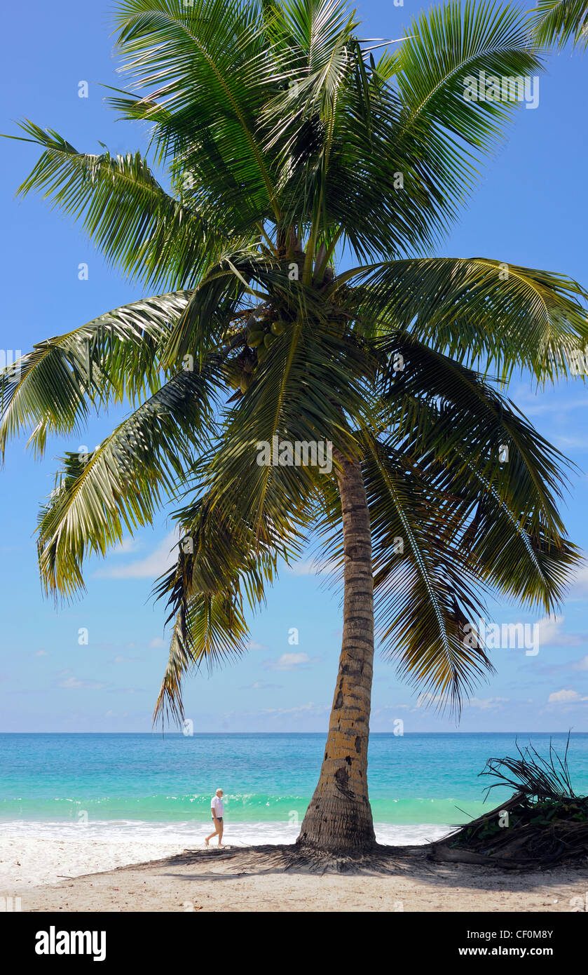 Insel Praslin, Seychellen, paradiesischen Strand Anse Lazio Stockfoto