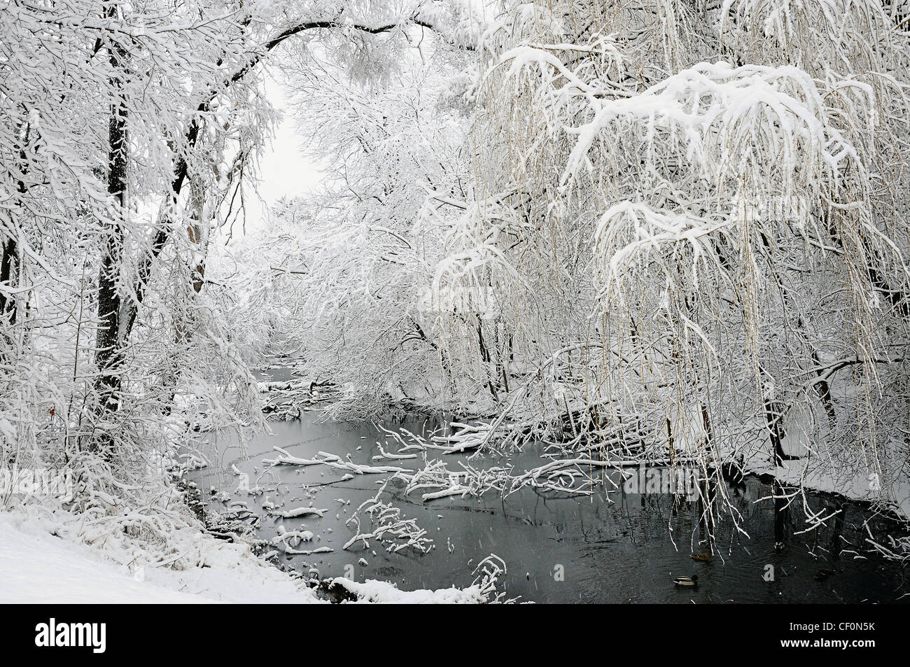 Winter landschaftlich des Kanals und blockierten Zugang zum großen Fluss. Stockfoto