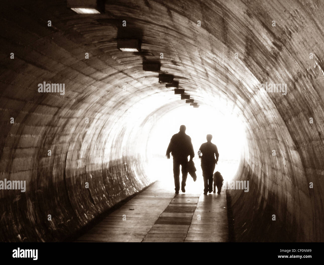 Zwei Personen und einem Hund zu Fuß durch einen Tunnel am Latchford (aus Kingsway), Warrington, Cheshire, England, UK Stockfoto