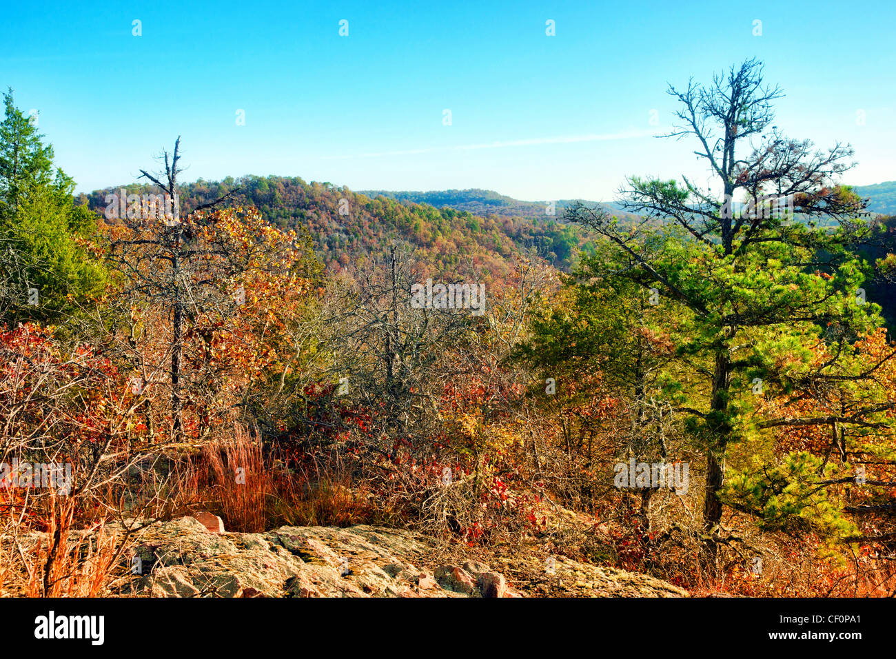 Herbst oder Herbst Wald in Missouri usa Stockfoto