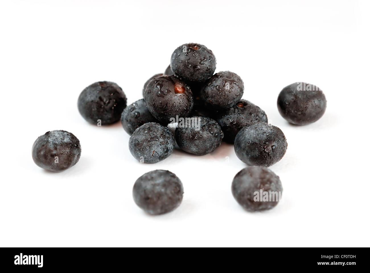 Acai, die kleine Superfrucht aus dem brasilianischen Amazonas, sehr reich an natürlich Nährstoffen und Antioxidantien. Stockfoto