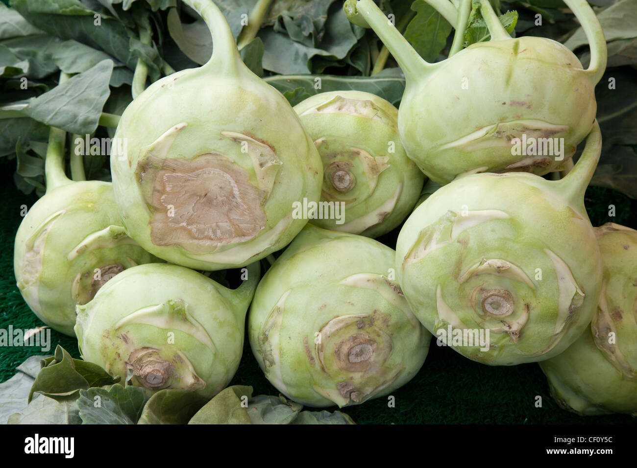 Kohlrabi, deutsche Rübe Stockfoto