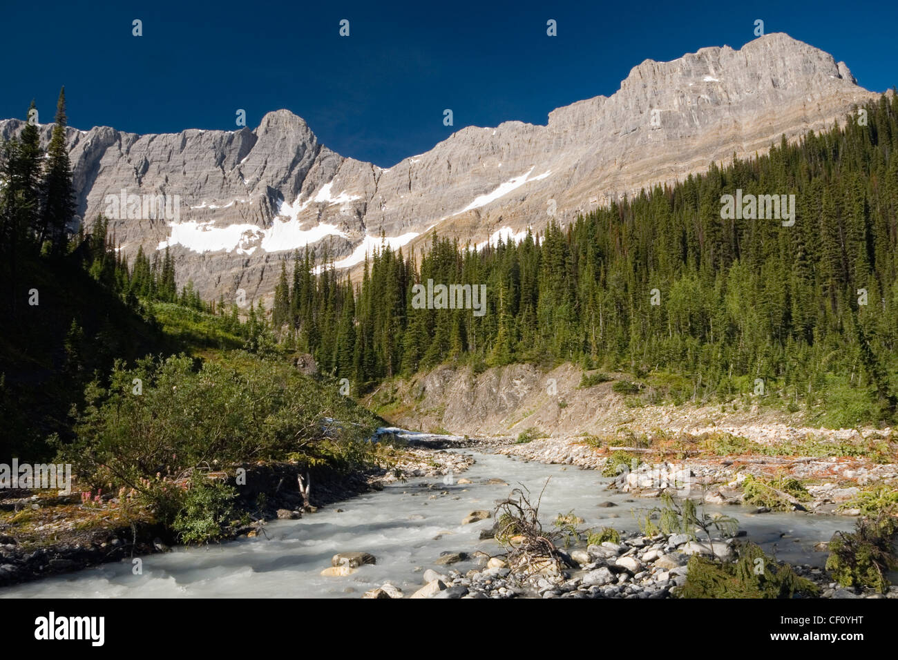 Tumbling Creek am Rockwall Trail, Kootenay Nationalpark von Kanada, British Columbia, Kanada Stockfoto