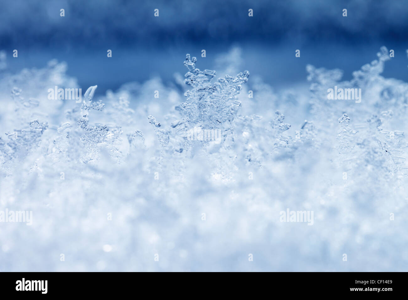 Frost-Kristalle in Nahaufnahme. Stockfoto