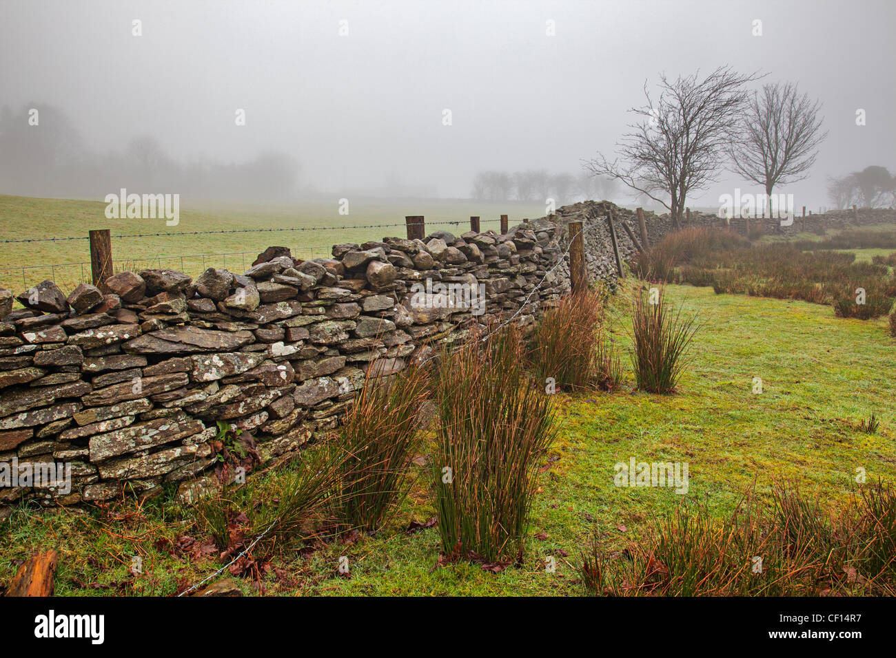 Blick von der Llanguicke Straße, Ponterdawe, Wales Stockfoto
