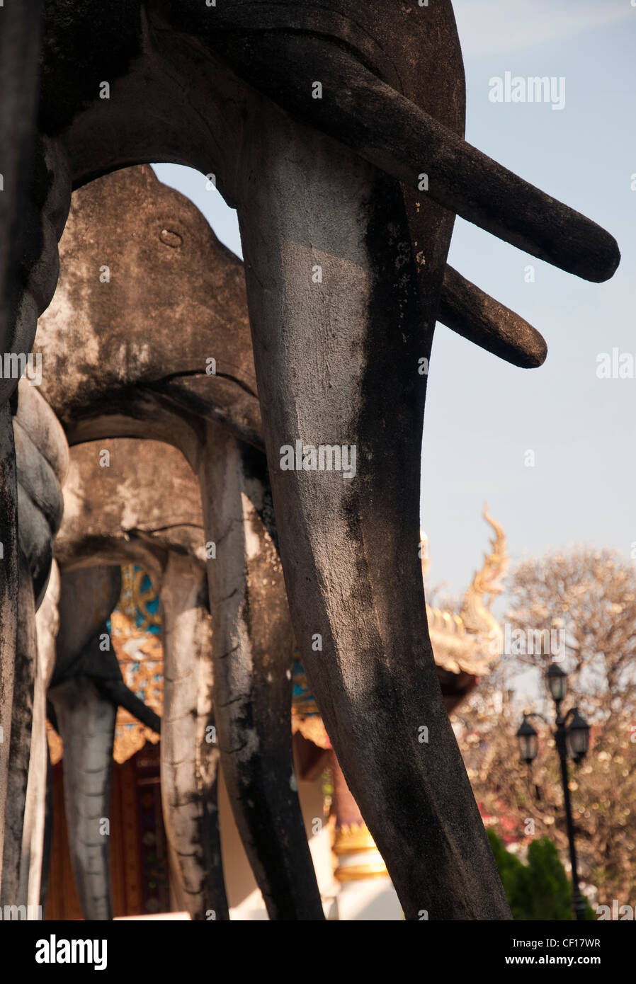 Elefant Skulptur in einem Thai-Tempel in Chiang Mai, Thailand Stockfoto