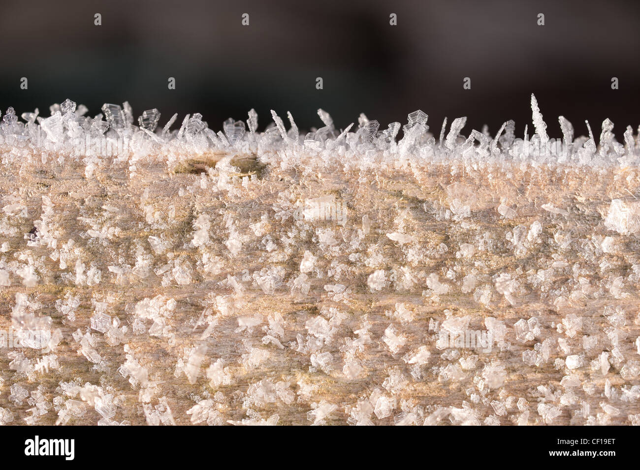 Extreme Nahaufnahme von Winter Frost und Eiskristalle durch Nebel und Feuchtigkeit bilden einen Wald von Eiskristallen auf Holz Stockfoto