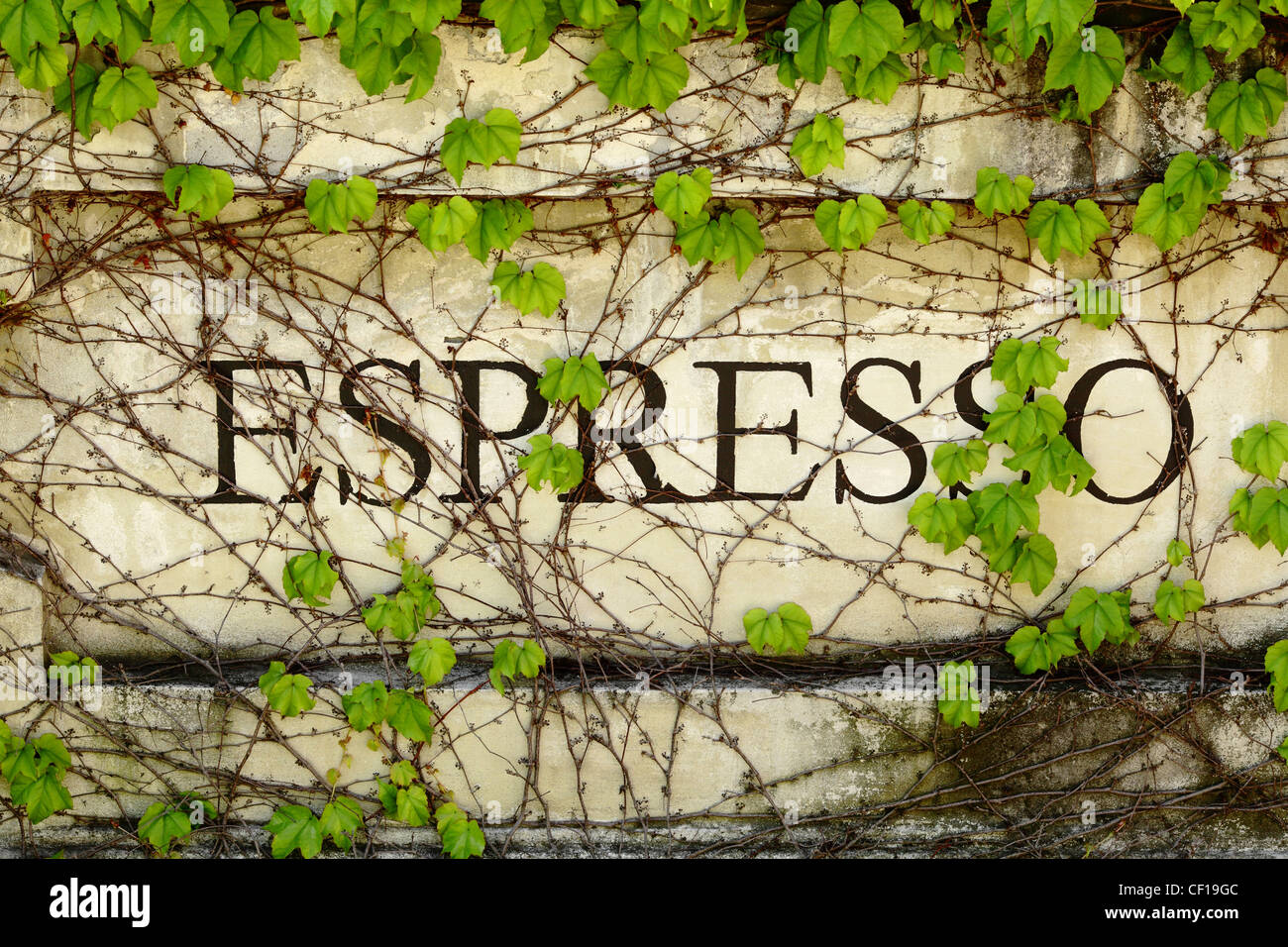 Outdoor-Espresso-Schild an der Steinmauer mit Efeu bedeckt Stockfoto