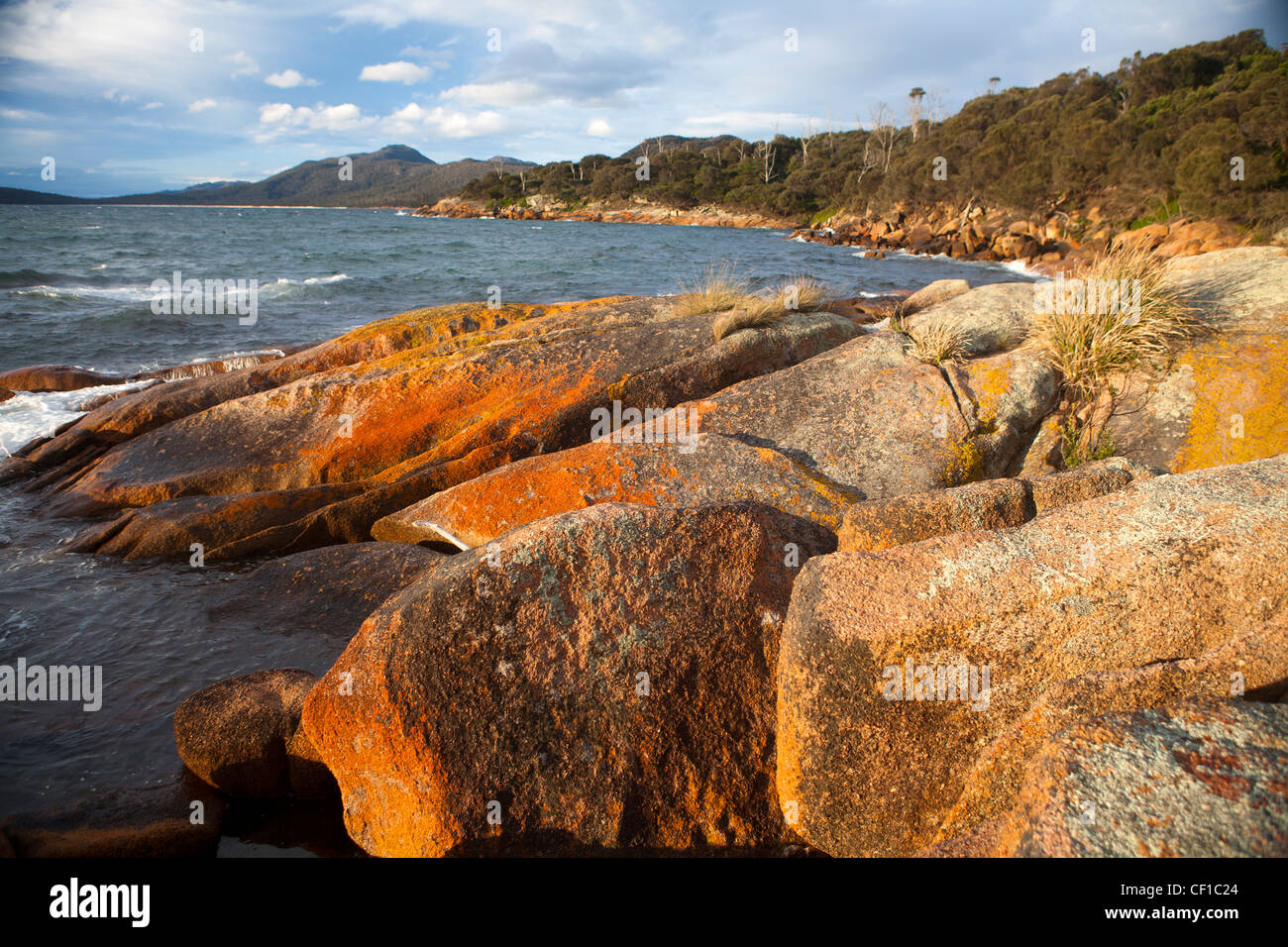 Küste bei Schouten Insel, Freycinet National Park, Tasmanien Stockfoto