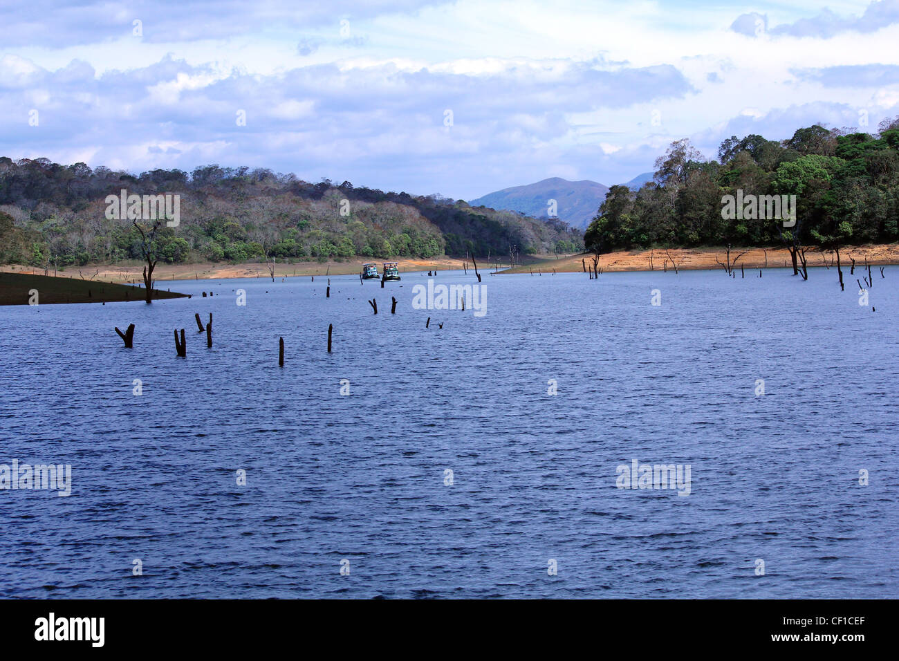 Thekkady, Periyar Nationalpark, Kerala, Indien Stockfoto