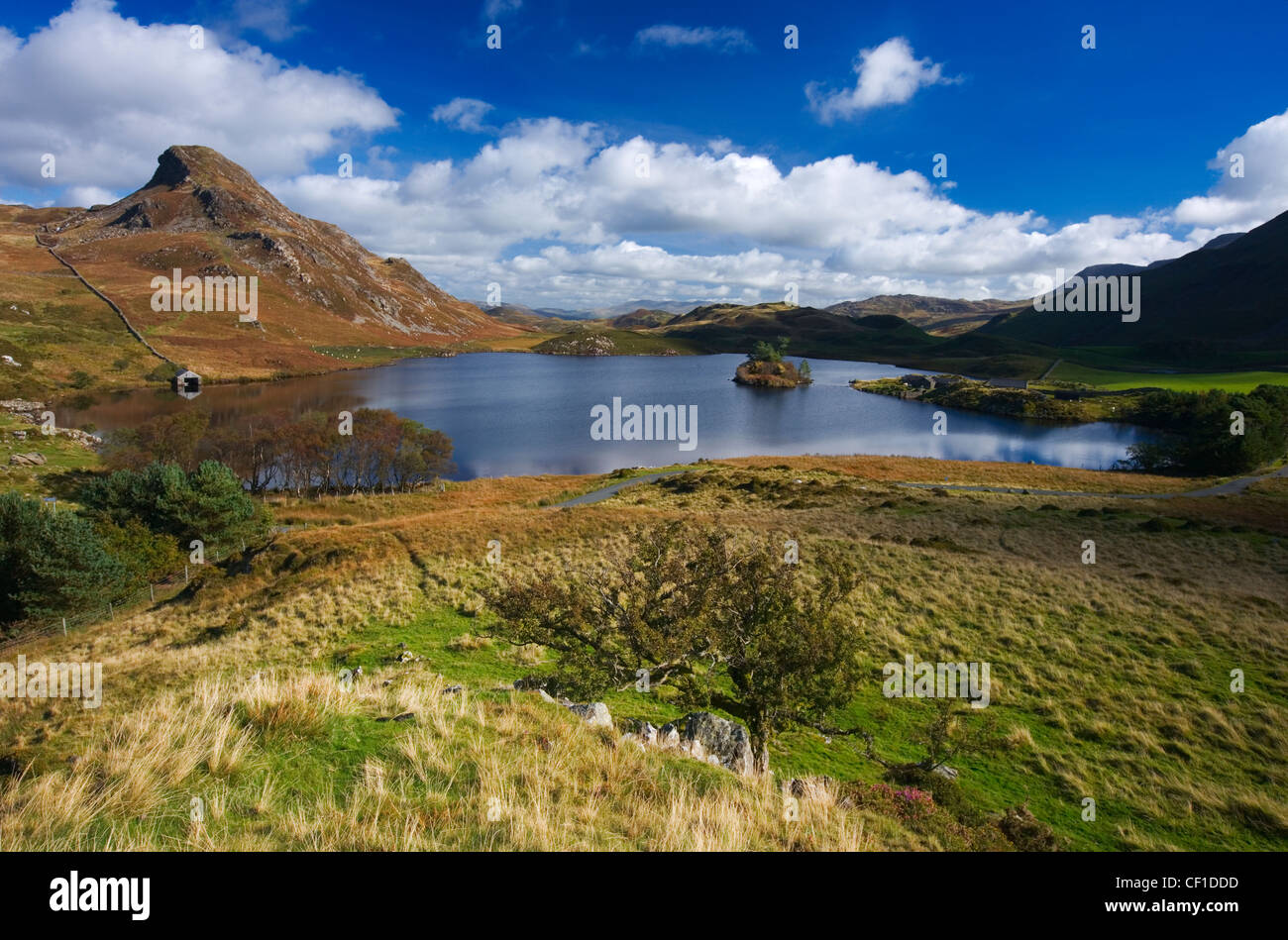 Cregennan Seen über dem Ortszentrum in Snowdonia-Nationalpark. Stockfoto
