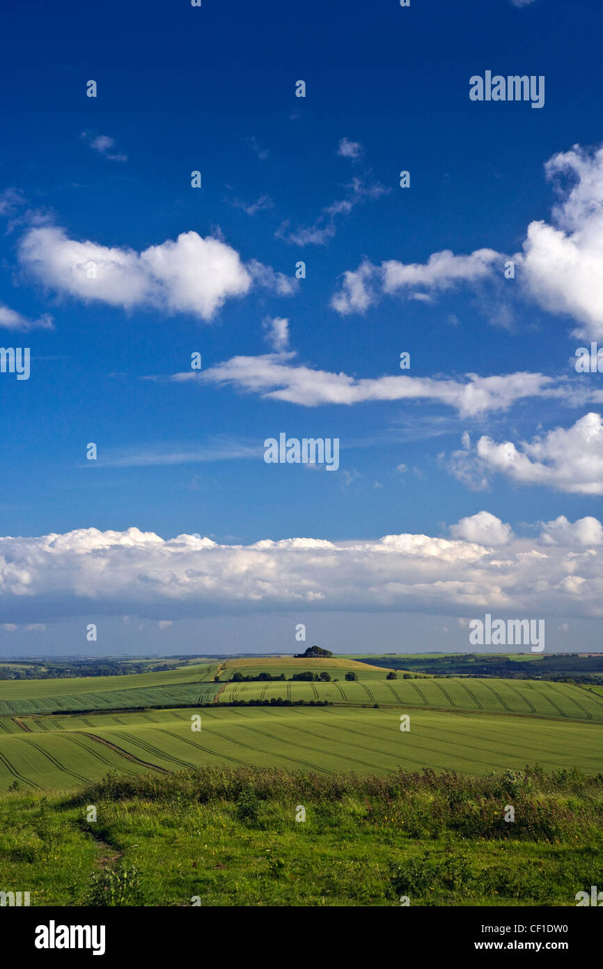 Blick über den North Wessex Downs in Richtung Woodborough Hügel in der Mitte Pewsey Vale. Stockfoto