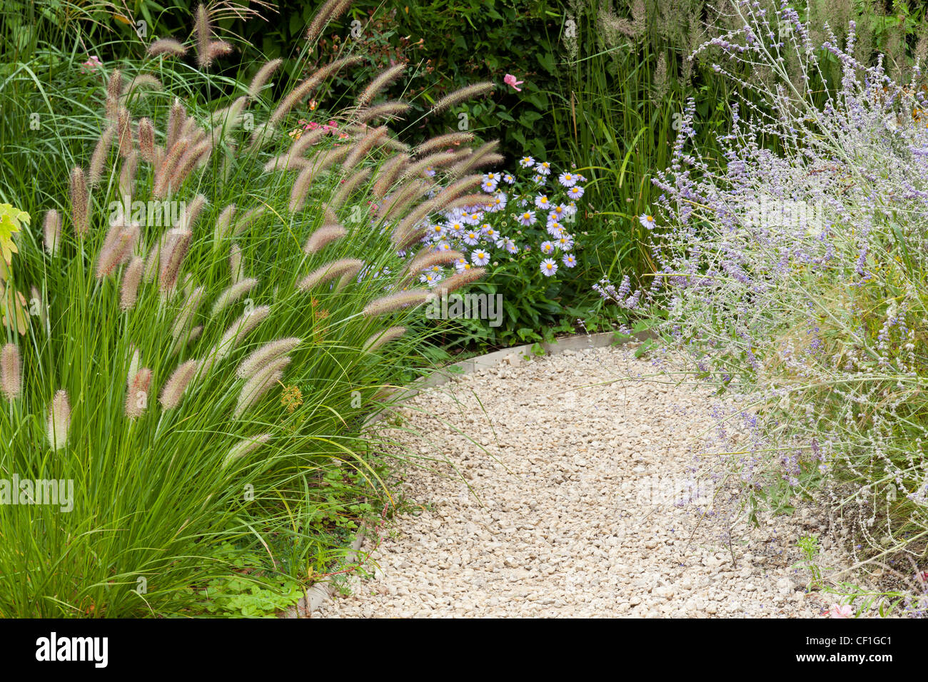 Kies und Pfad, gesäumt von Lampenputzergras, Aster, russischer Salbei (Perovskia) auf dem Festival des Jardins de Chaumont-Sur-Loire. Stockfoto