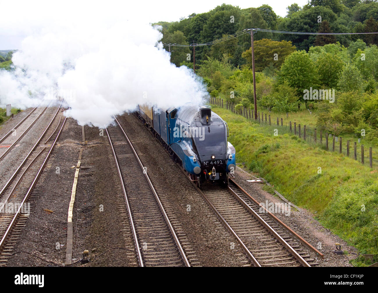 LNER A4 Klasse 4-6-2 keine 4492 Dominion of New Zealand am unteren Basildon, Berkshire UK mit der Bristol Kathedralen Express auf gebunden Stockfoto
