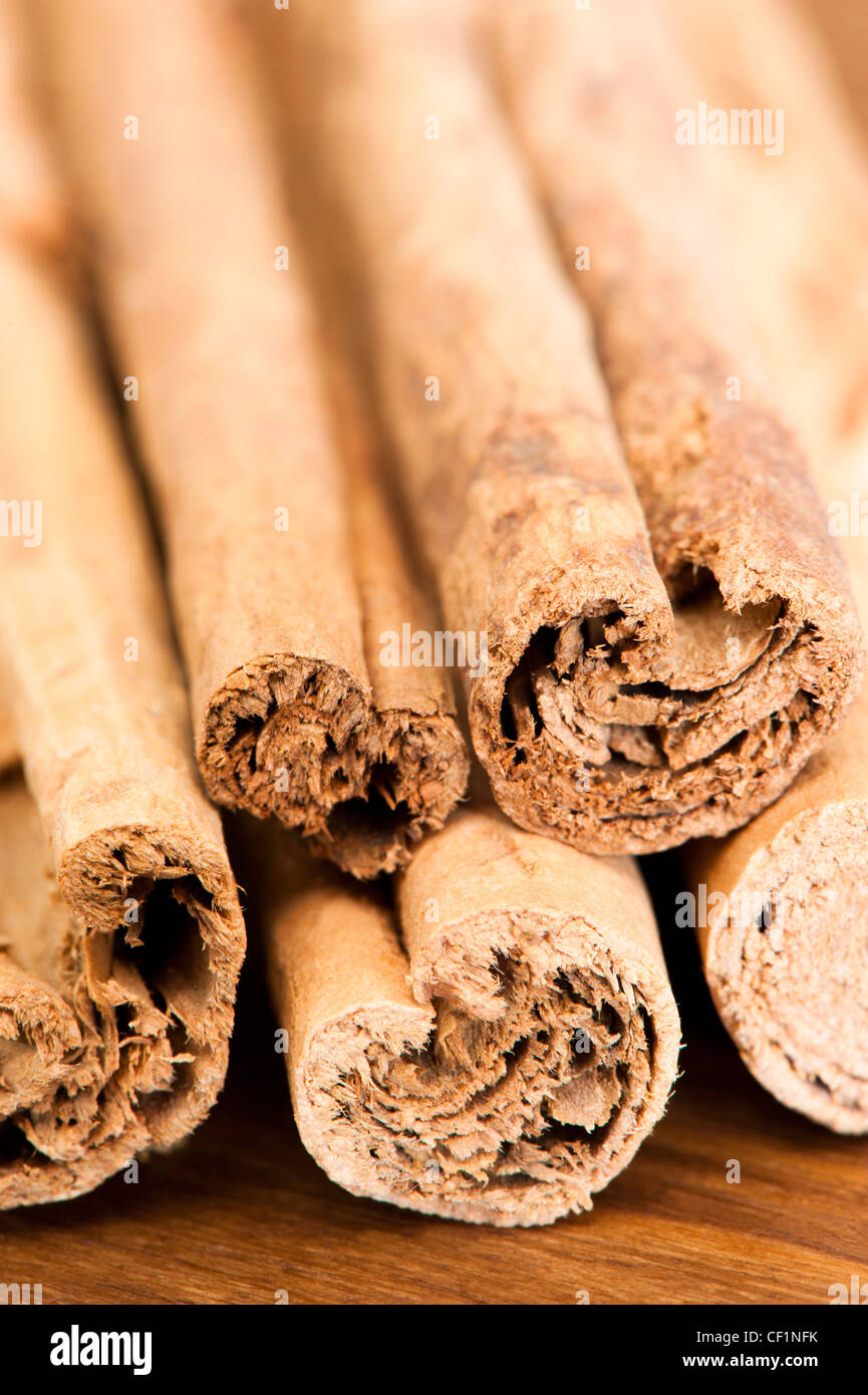 Zimtstangen, Cinnamomum verum Stockfoto