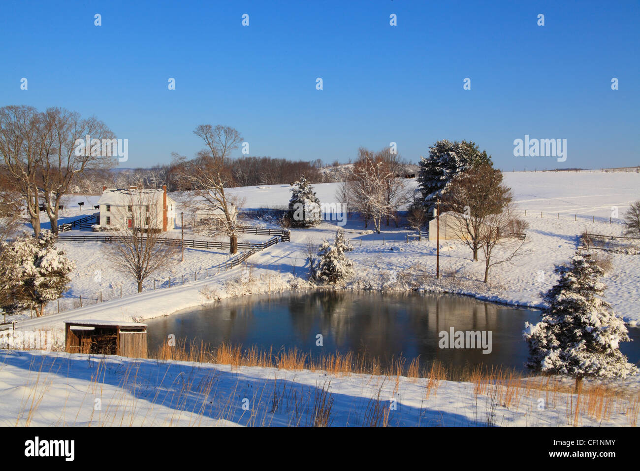 Bauernhof, Raphine, Virginia, USA Stockfoto