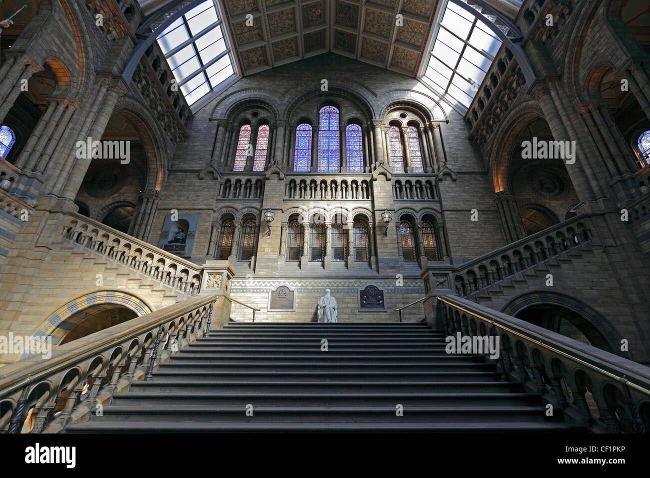 Eine Marmorstatue von Charles Darwin am oberen Rand der Treppe in der zentralen Halle des Natural History Museum. Stockfoto