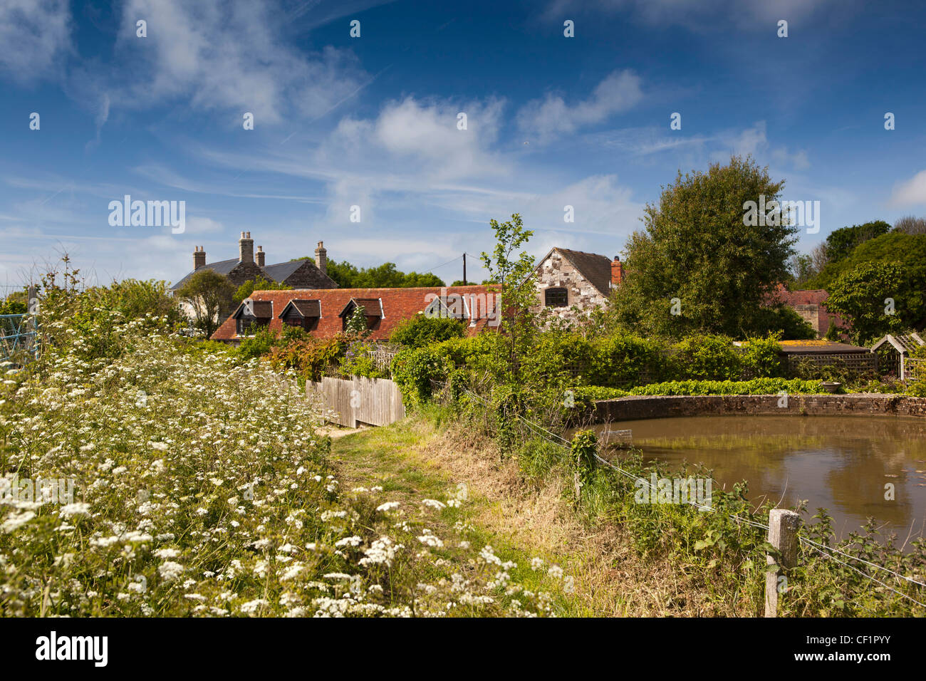 Großbritannien, England, Isle of Wight, Brighstone, Teich über umgebaute Getreidemühle Stockfoto