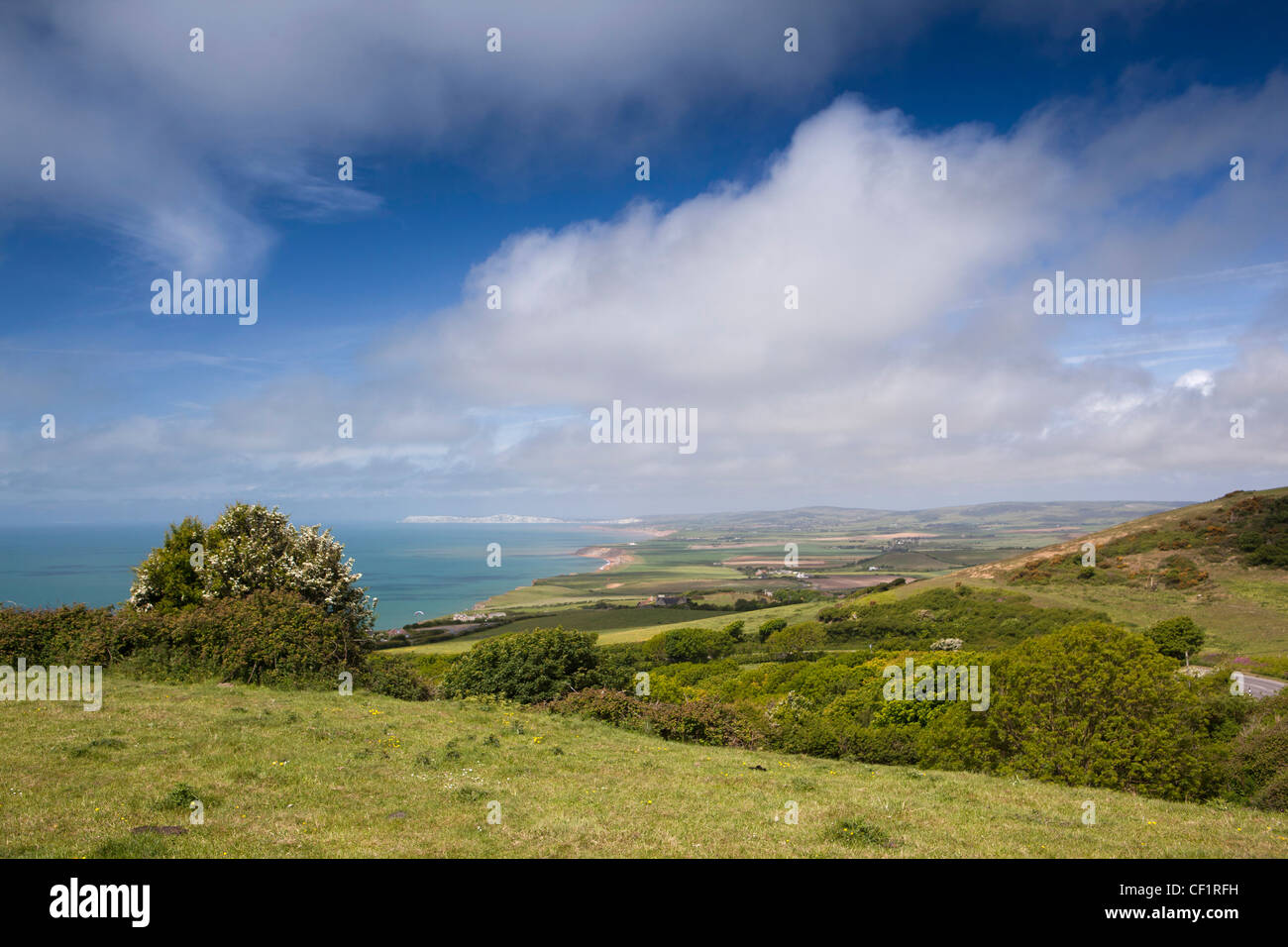 Großbritannien, England, Isle of Wight, Südküste, Gore, Blick über Chale Freshwater Bay Stockfoto