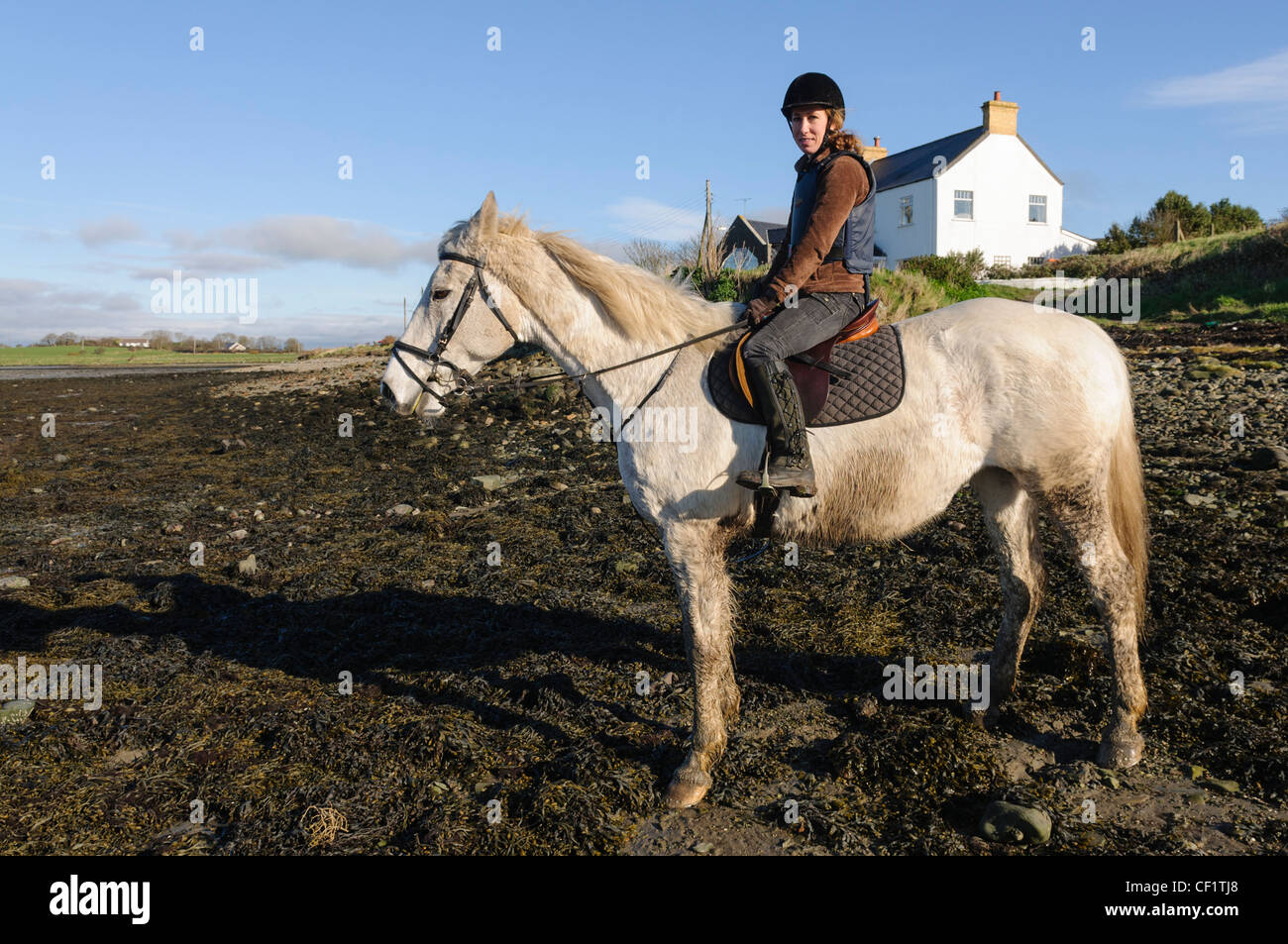 Frau auf einem weißen Pferd am Strand von Coney Island, Inspiration für "The Shore" Oscar-Preisträger Kurzfilm 2012. Stockfoto