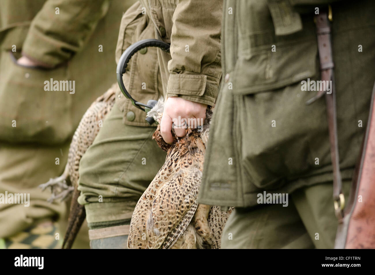 Drei Männer, gehen mit einem frischen Doppelpack von Fasanen in Dorset. Stockfoto