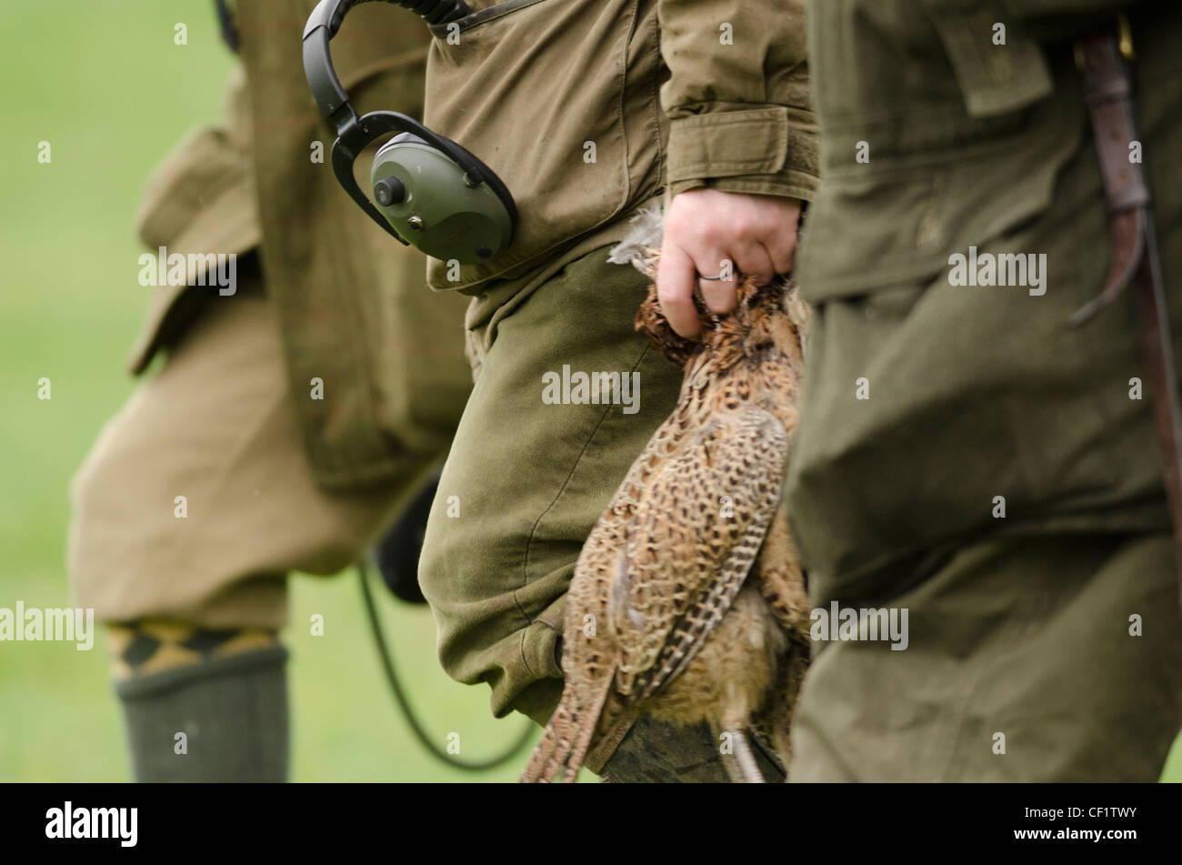 Drei Männer, gehen mit einem frischen Doppelpack von Fasanen in Dorset. Stockfoto