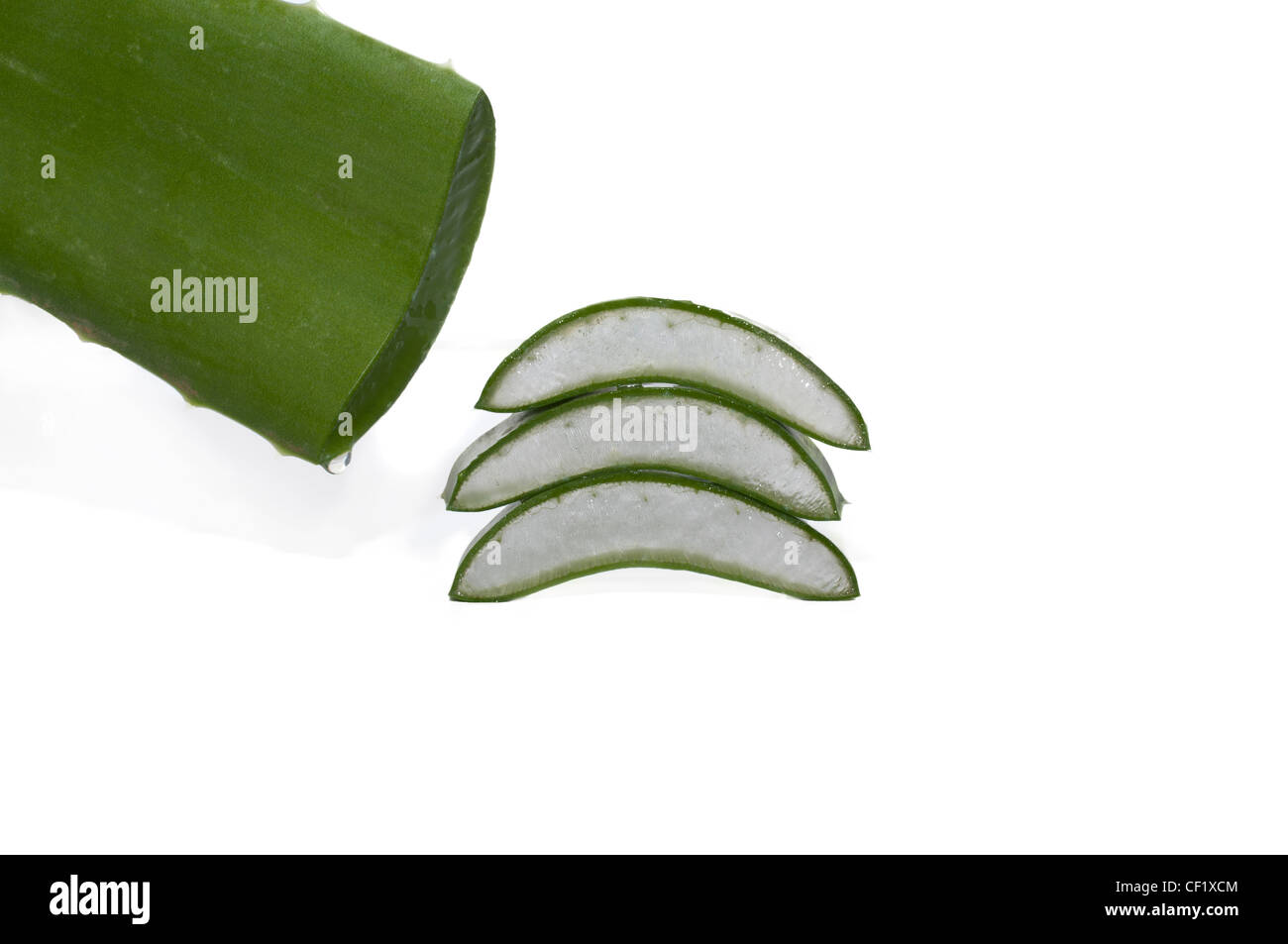 Blatt der Aloe auf weißem Hintergrund Stockfoto