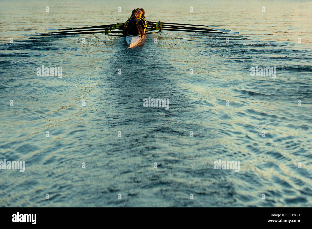 Leadership Ruderboot Rudern team boot -Fotos und -Bildmaterial in hoher Auflösung – Alamy