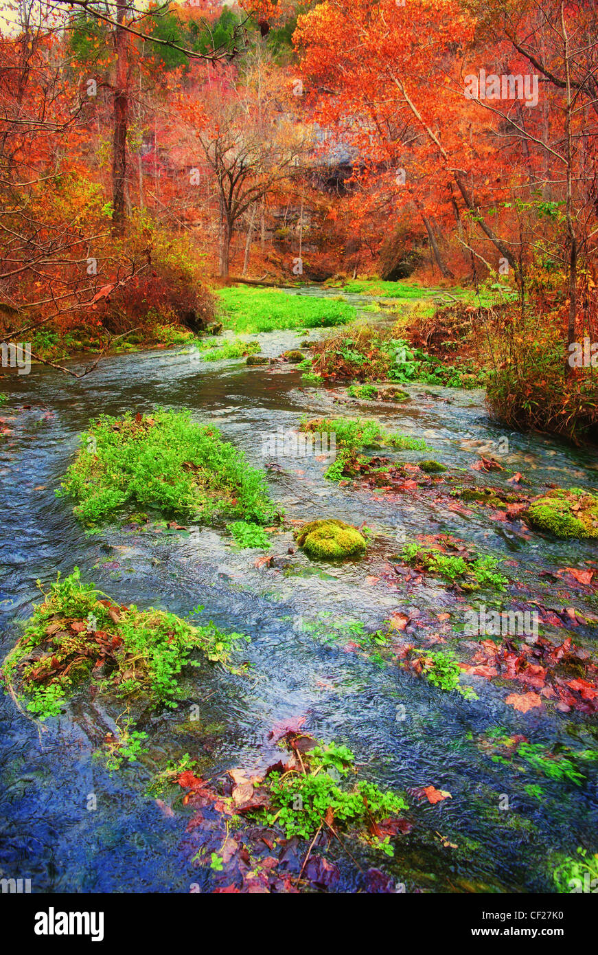 Herbst oder Frühjahr Herbst oder Stream in missouri Stockfoto