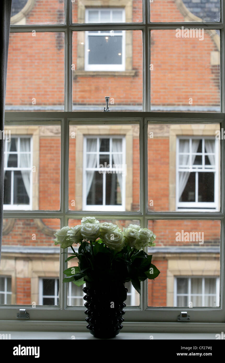 Interiof Georgian House in Mayfair, London Vase mit weißen Rosen auf Fensterbank vor Schärpe Fenster rotem Backsteinhaus gegenüber Stockfoto