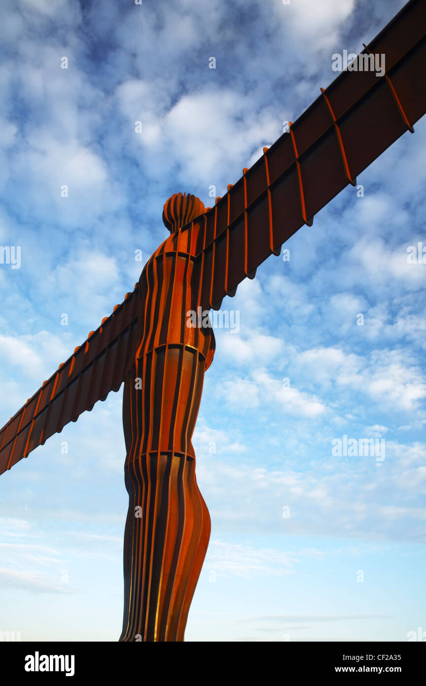 Der Engel der nördlichen Statue in der Nähe von den Städten Gateshead und Newcastle Upon Tyne. Stockfoto