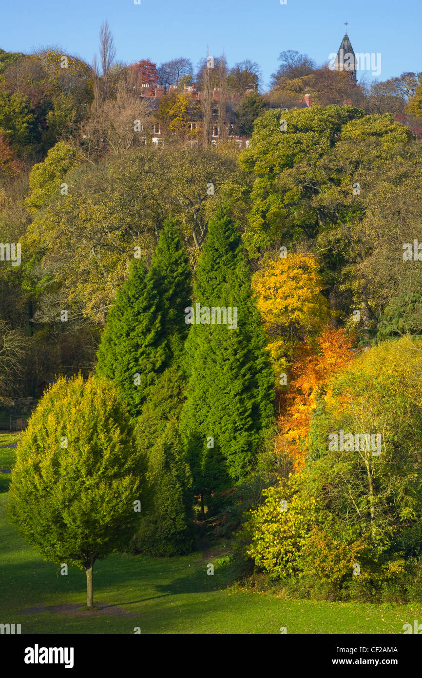 Blick von der Armstrong-Brücke in Richtung Jesmond Dene. Stockfoto