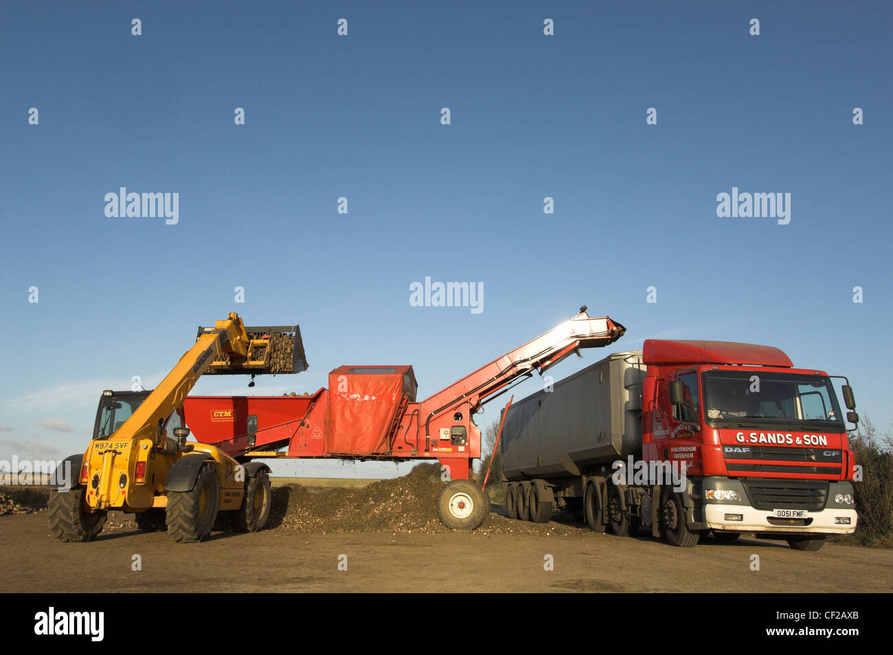 Mechanisierten Laden von Zuckerrüben auf Transport-LKW. Stockfoto