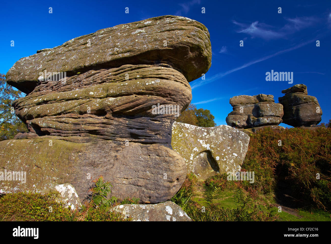 Pavian Rock bei Brimham Rocks auf Brimham Moor. Der Mühlstein Korn Felsen haben im Laufe der Jahrhunderte zu interessanten Form ausgehöhlt worden ein Stockfoto